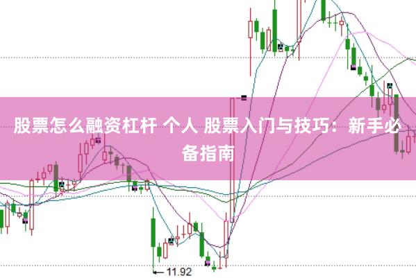 股票怎么融资杠杆 个人 股票入门与技巧：新手必备指南