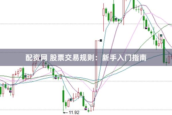 配资网 股票交易规则：新手入门指南