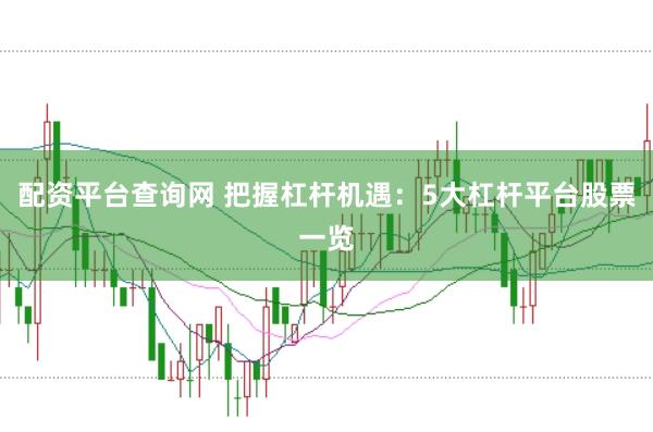 配资平台查询网 把握杠杆机遇：5大杠杆平台股票一览