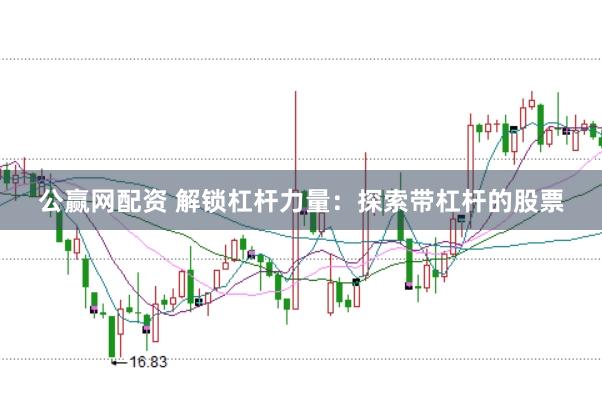 公赢网配资 解锁杠杆力量：探索带杠杆的股票