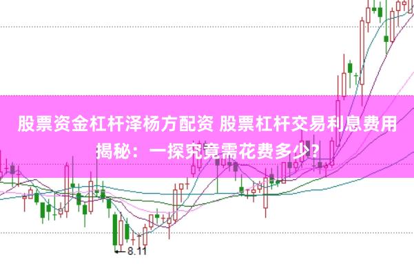 股票资金杠杆泽杨方配资 股票杠杆交易利息费用揭秘：一探究竟需花费多少？