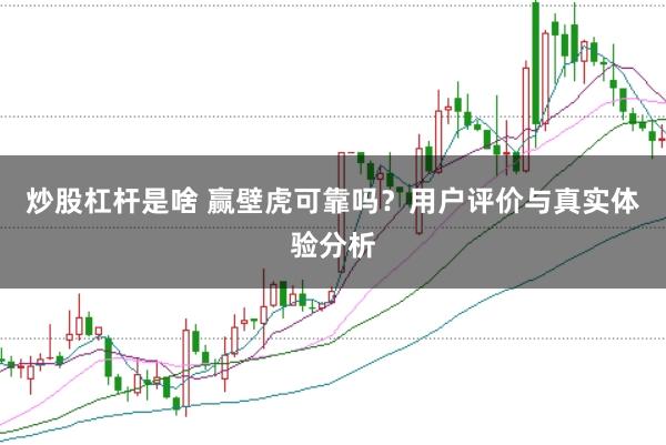 炒股杠杆是啥 赢壁虎可靠吗？用户评价与真实体验分析