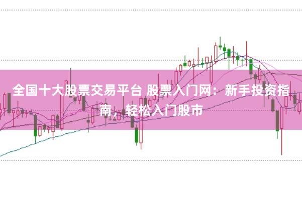 全国十大股票交易平台 股票入门网：新手投资指南，轻松入门股市