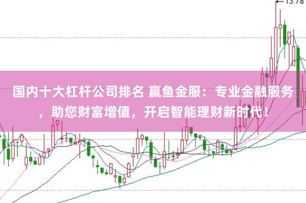 国内十大杠杆公司排名 赢鱼金服：专业金融服务，助您财富增值，开启智能理财新时代！