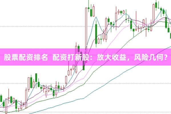 股票配资排名  配资打新股：放大收益，风险几何？