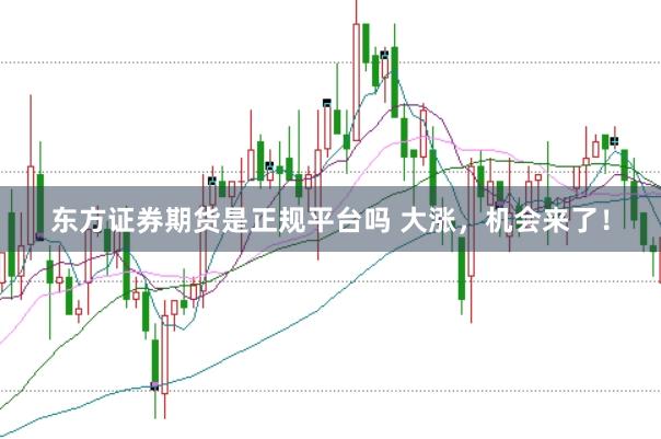 东方证券期货是正规平台吗 大涨，机会来了！