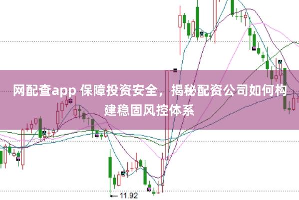 网配查app 保障投资安全，揭秘配资公司如何构建稳固风控体系