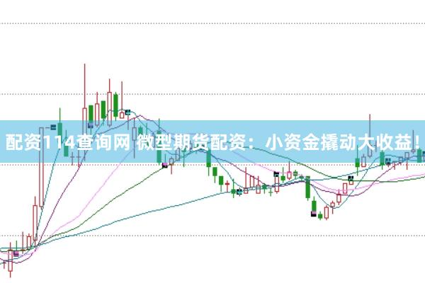 配资114查询网 微型期货配资：小资金撬动大收益！