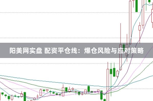 阳美网实盘 配资平仓线：爆仓风险与应对策略
