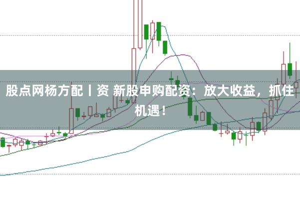 股点网杨方配丨资 新股申购配资：放大收益，抓住机遇！