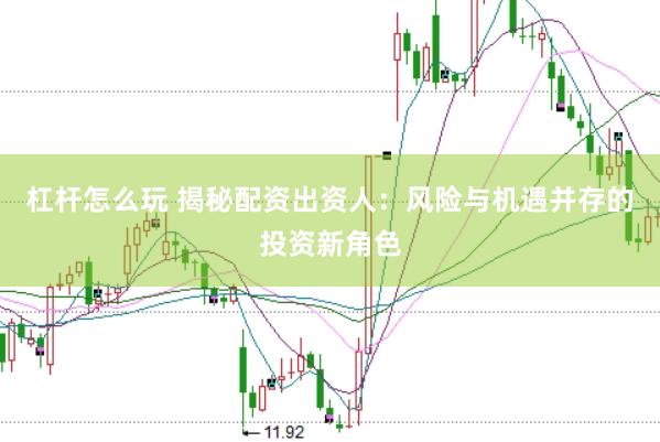杠杆怎么玩 揭秘配资出资人：风险与机遇并存的投资新角色