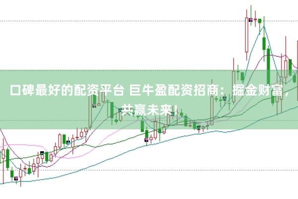 口碑最好的配资平台 巨牛盈配资招商：掘金财富，共赢未来！