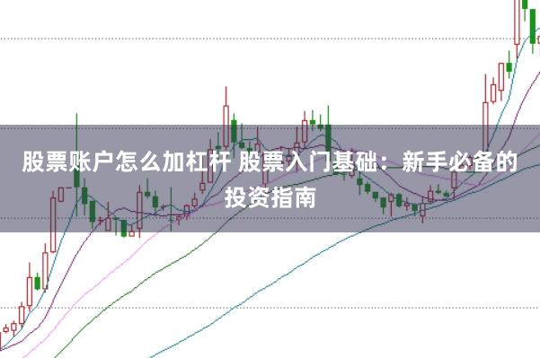 股票账户怎么加杠杆 股票入门基础：新手必备的投资指南