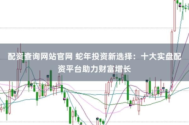 配资查询网站官网 蛇年投资新选择：十大实盘配资平台助力财富增长