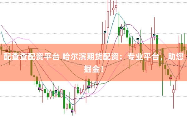 配查查配资平台 哈尔滨期货配资：专业平台，助您掘金！