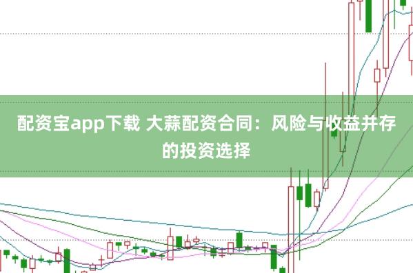 配资宝app下载 大蒜配资合同：风险与收益并存的投资选择
