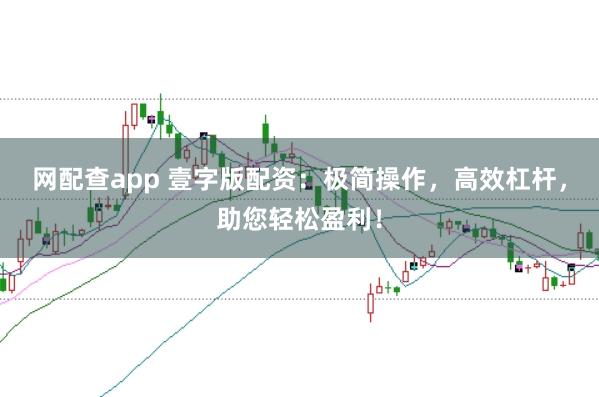 网配查app 壹字版配资：极简操作，高效杠杆，助您轻松盈利！