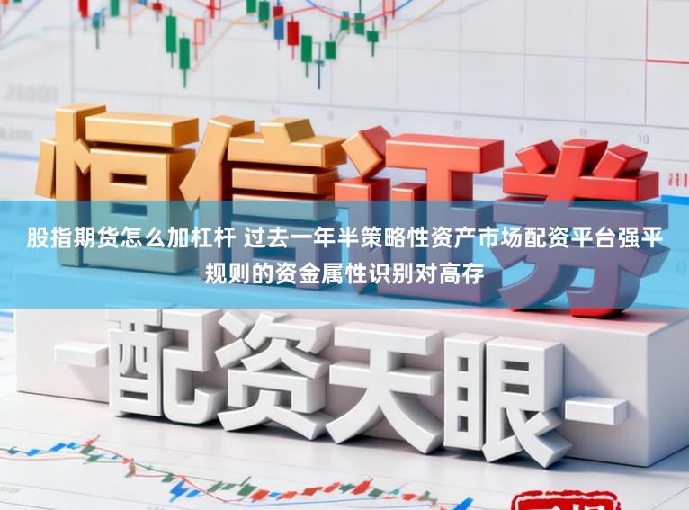 股指期货怎么加杠杆 过去一年半策略性资产市场配资平台强平规则的资金属性识别对高存