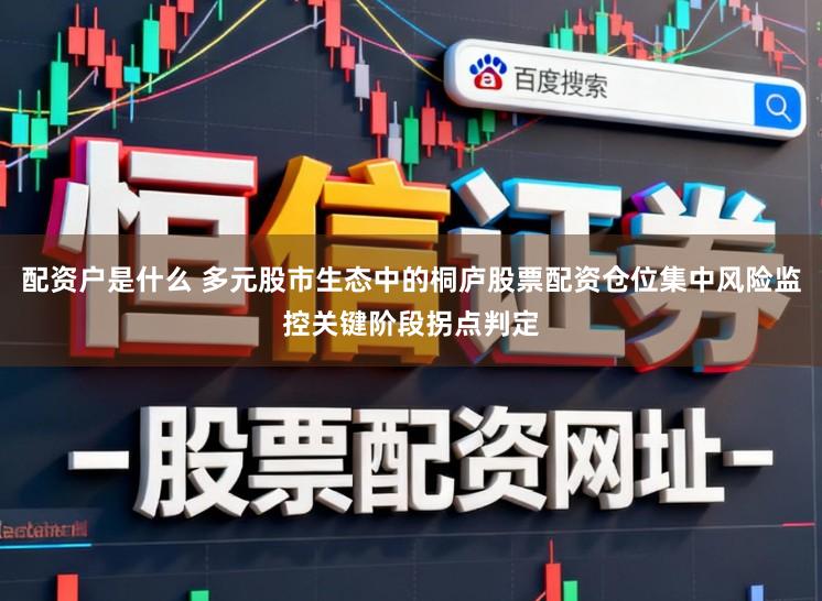 配资户是什么 多元股市生态中的桐庐股票配资仓位集中风险监控关键阶段拐点判定