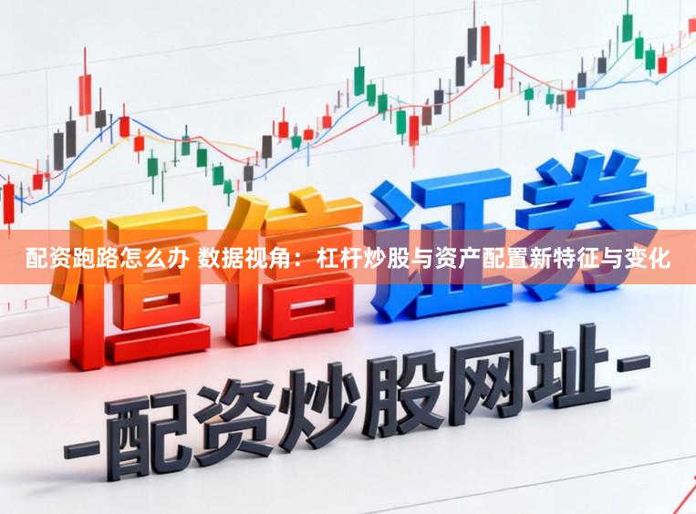 配资跑路怎么办 数据视角:杠杆炒股与资产配置新特征与变化
